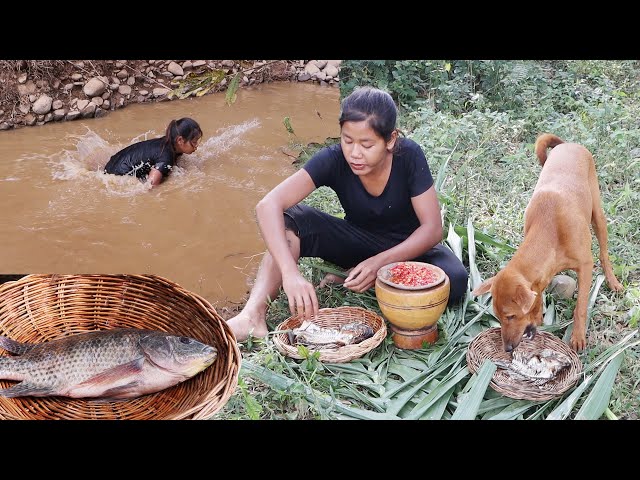 Survival in forest- Catch and cook fish for food with dog