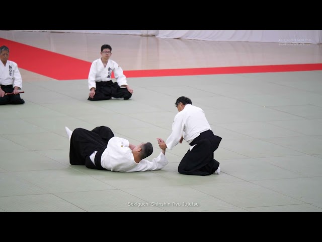 Sekiguchi Shinshin Ryu Jujutsu [4K 60fps] - 47th Traditional Japanese Martial Arts Demonstration