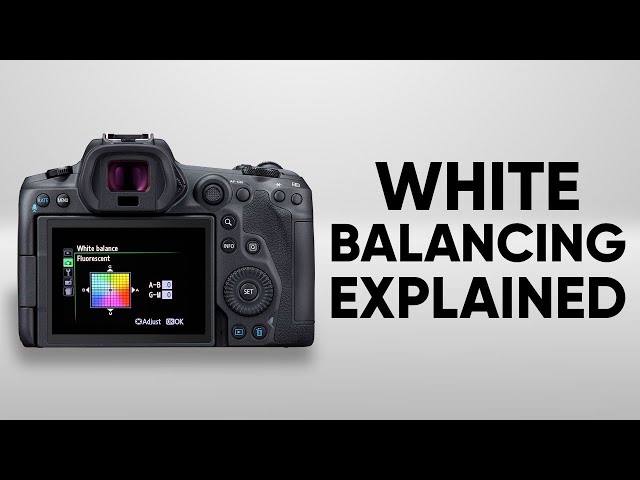 What is White Balance in Photography?