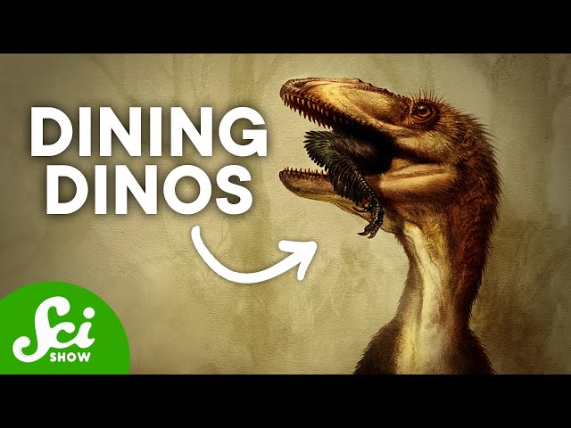 What The Dinosaurs Ate and Why