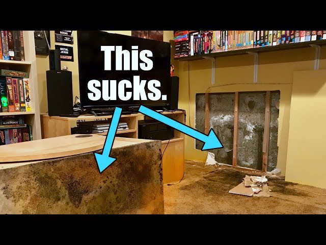 OH NO! Water & Mold in the GAME ROOM! $10,000 to fix!