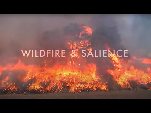Wildfire & Salience