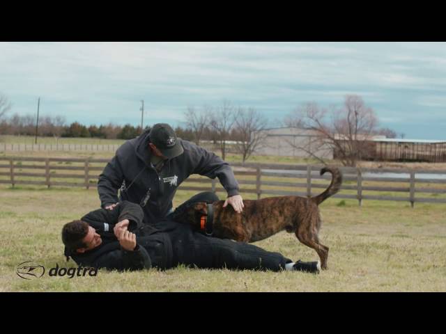 Ep.7 - K9 Dog Training with Mike Ritland: Bite Training