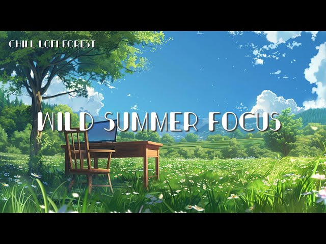 Wild Summer Focus  [🍉Chill Lo-Fi Beats]
