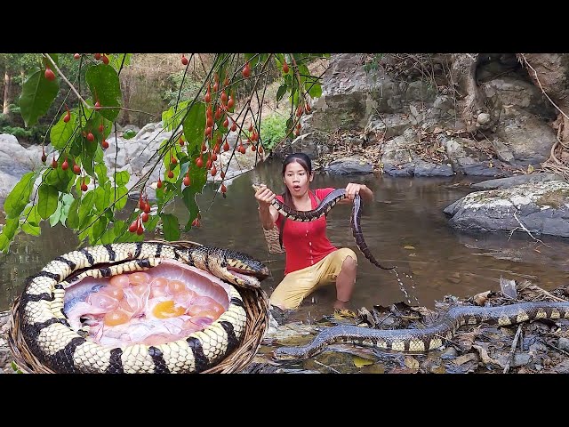 Wow Big Snake! Catching and Cooking Snack Soup for survival food in forest