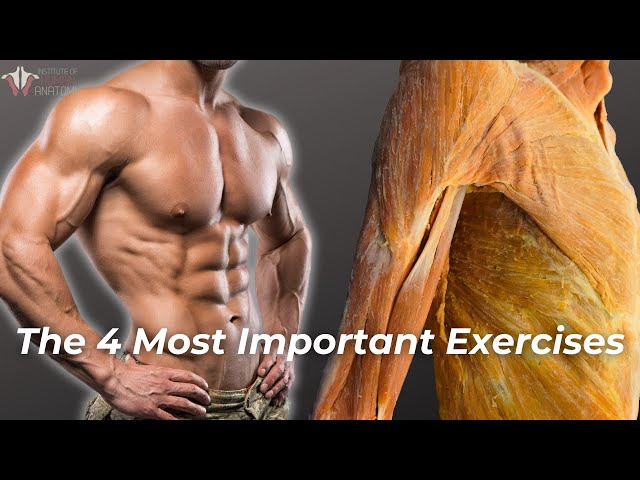The 4 Most Important Exercises Everyone Should Be Doing