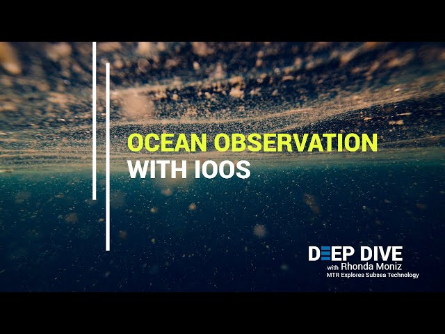 Ocean Observation with IOOS
