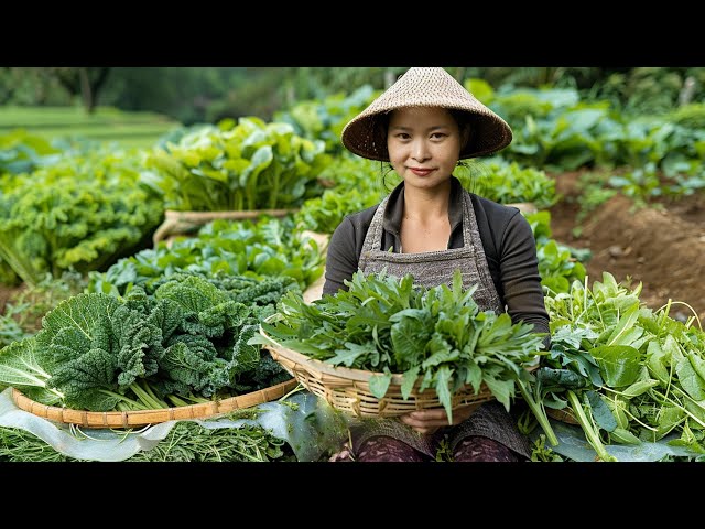 Harvesting Vegetable Garden Goes To The Market Sell - Vegetable Gardening - Fishing - Cooking