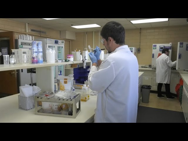 A Look Inside Georgia’s Food Testing Lab