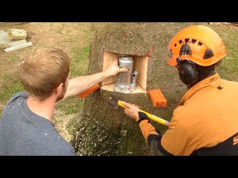 Awesome Fastest Tree Felling Cutting Down Technique