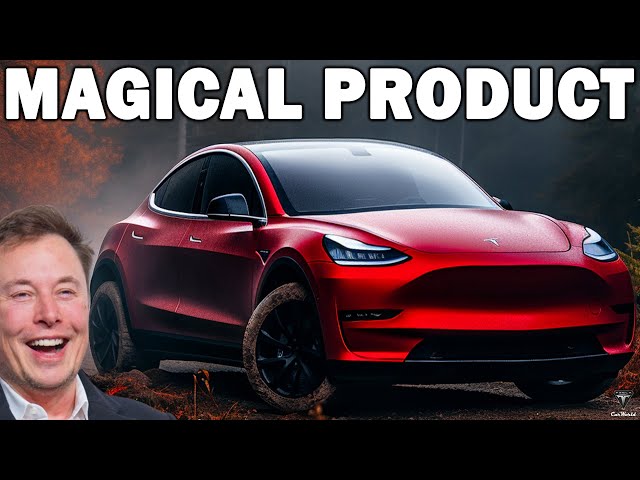 NOT Cybertruck! This the Biggest LOVE of Elon Musk! The Magical Charm - Tesla Model Y!