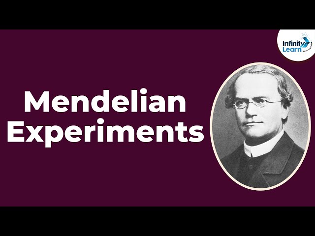 Genetics - Mendelian Experiments - Lesson 2 | Don't Memorise