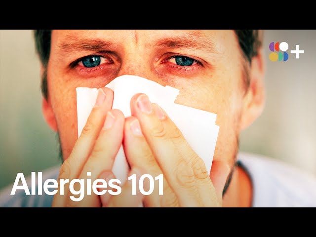 Why Are Allergies So Common?