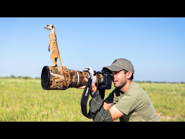 Top 10 Best Camera for Wildlife Photography