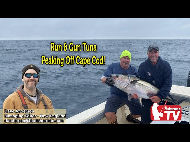 November 10, 2022  New England Video Fishing Forecast with Dave Anderson