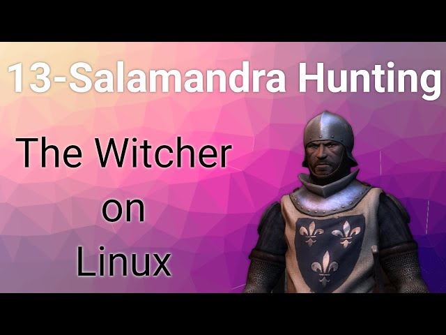 We hunt down Salamandra - The Witcher on elementary OS - Part 13