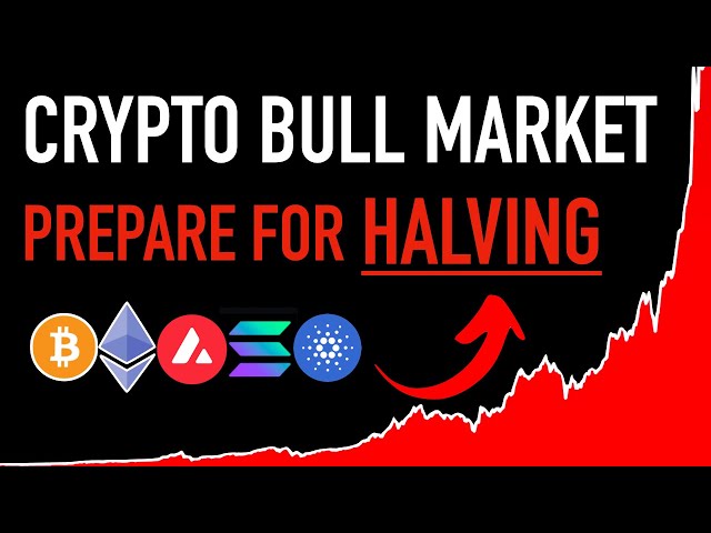 The MEGA Crypto Bull Market - Bitcoin Halving Is Coming! 💰💰💰