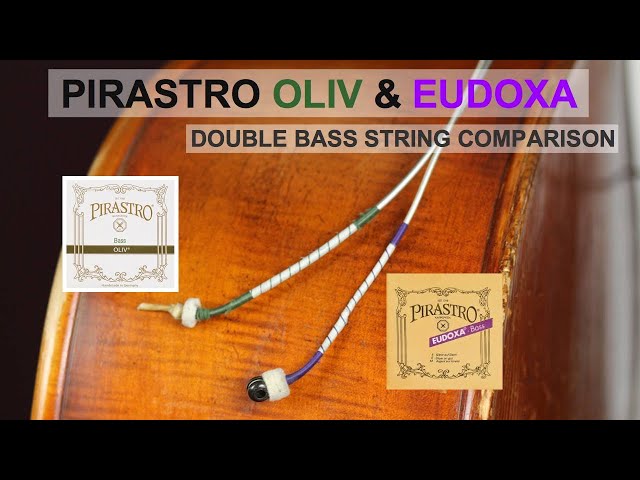 Pirastro Eudoxa and Oliv - Gut Double Bass Strings - Comparison