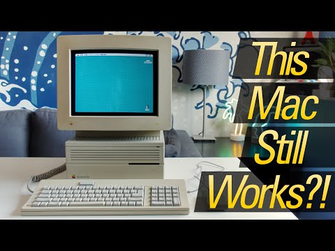 Restoring a (Literal) Rats' Nest Macintosh IIci