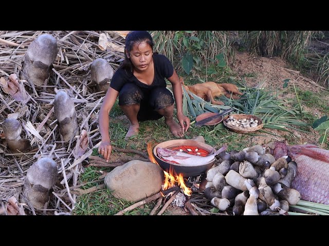 Pick mushroom and Fish soup spicy chili with mushroom for dinner - Survival cooking