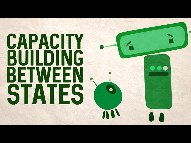Capacity building between states