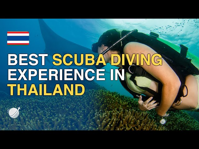 Top 10 Best Places In Thailand For Scuba Diving