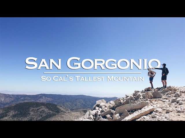 Hiking Southern California's Tallest Mountain | Mount San Gorgonio 11,503 ft