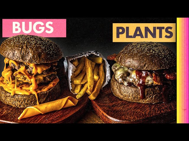In 2050 Burgers Will be Made of Bugs (Part 3)