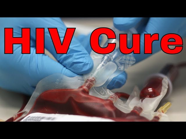 How the Stars Align to Cure HIV