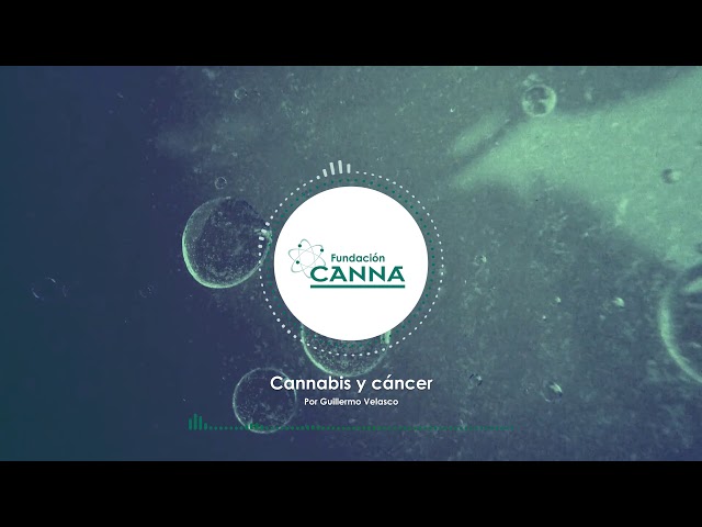 Cannabis y cáncer - Audio Artículo (Español)