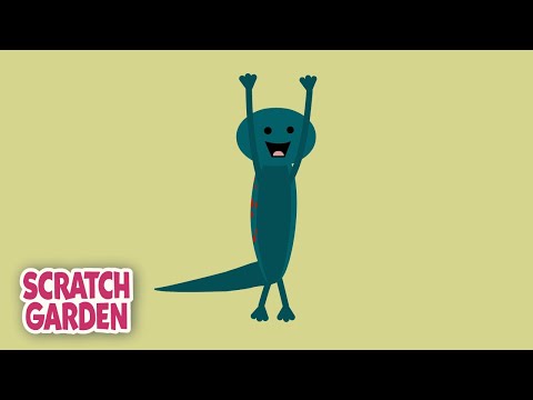Salamander Yoga | Scratch Garden