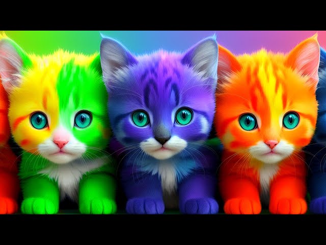 Colorful Little Cute Cats, Animation and Happy Kids Songs for Children
