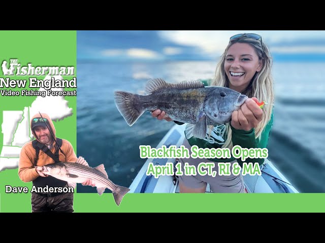 March 28th 2024 New England Video Fishing Forecast with Dave Anderson