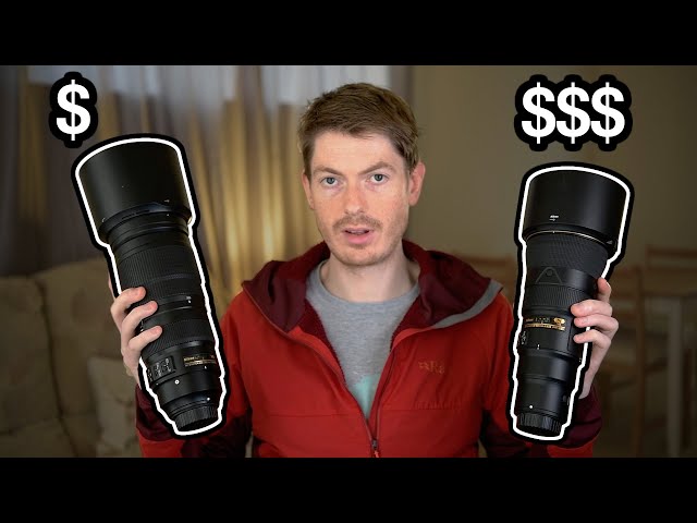 Nikon 500PF vs 200-500 | My Thoughts as a Wildlife Shooter