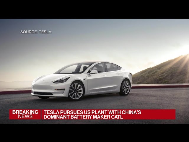 Tesla May Partner With CATL to Build Battery Plant