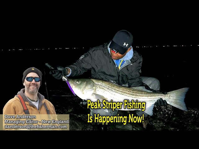 June 2nd 2022 New England Video Fishing Forecast with Dave Anderson