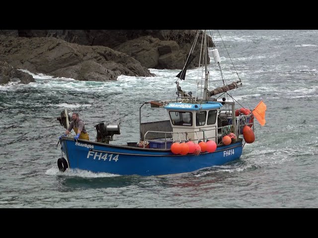 Fishing Boat "Starlight" Cadgwith Cove Cornwall  8.4.2022
