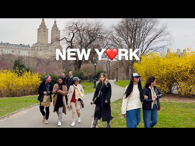 [4K]🇺🇸NYC Spring Walk🌷🌼Flowers Blooming in Central Park,New York City | Mar 2024
