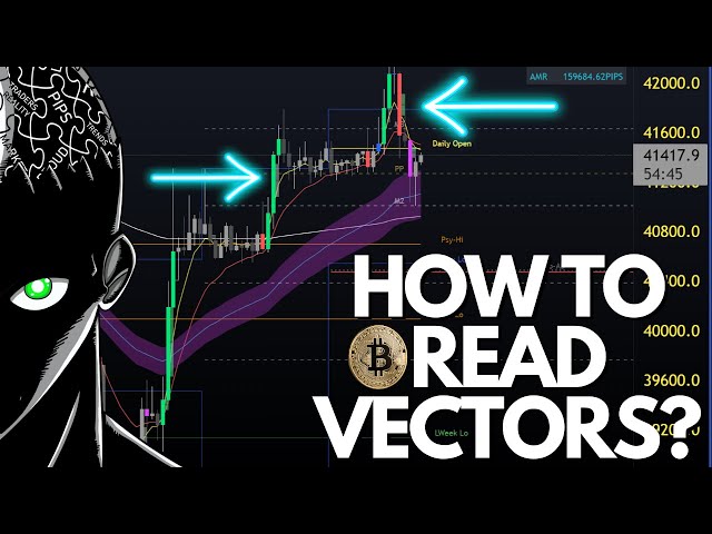 BITCOIN: How To Read Vectors?