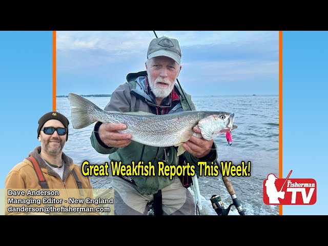 May 25, 2023  New England Video Fishing Forecast with Dave Anderson