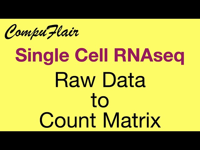 How to Convert Single Cell RNA-Seq Raw Data to Matrix Count | NextFlow nf-core & CompuFlair Web App