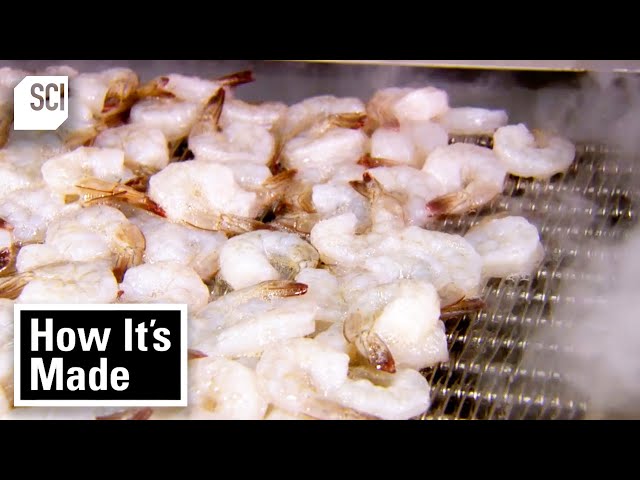 How Frozen Shrimp and Thai Rice Boxes Are Made! | How It’s Made | Science Channel