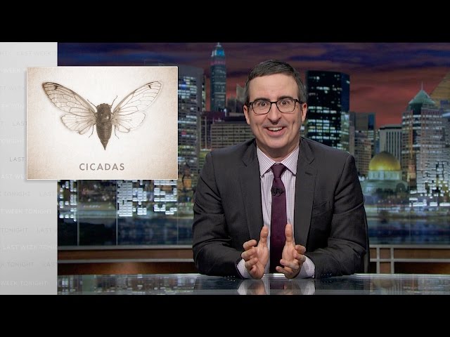 Cicadas (Web Exclusive): Last Week Tonight with John Oliver (HBO)