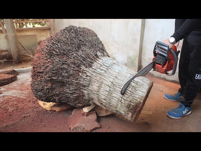 Genius Boy Left 'Speechless' By Restoration Of 320-Year-Old Antique Tree Stump: Woodworking Products