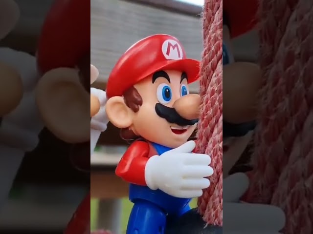 Zwei Marios als BESTE Freunde 😍
