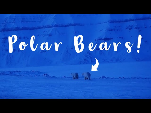 CLOSE POLAR BEAR ENCOUNTER  |  SVALBARD cabin VLOG | Snowmobile, drones & Glaciers!
