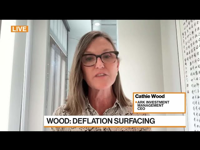 Cathie Wood on Deflation Risk, Tech Stocks and Bitcoin