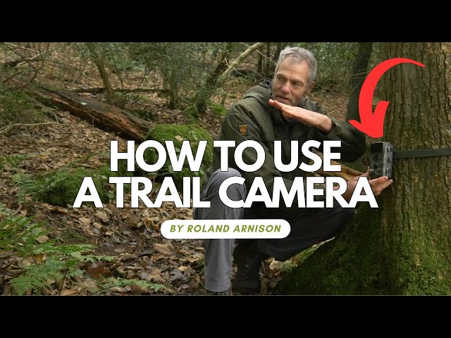 How to position a Trail Camera