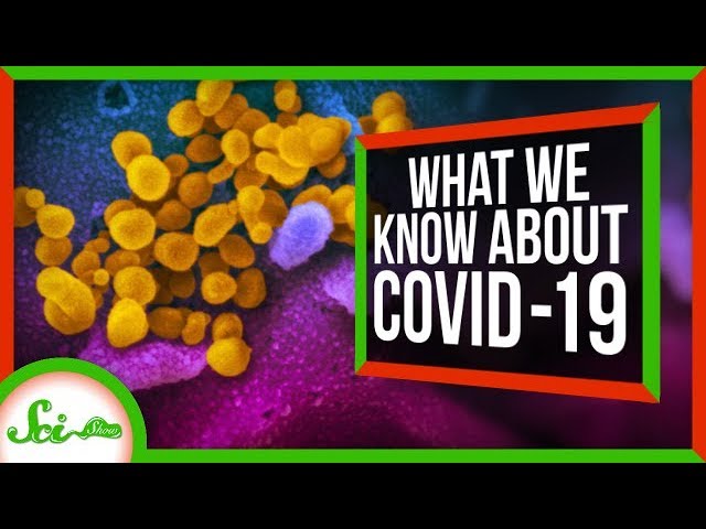 Is COVID-19 a Pandemic? | March 2020 Update