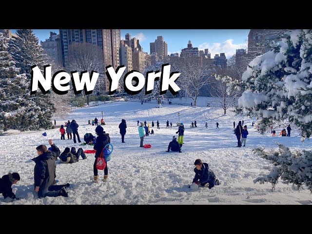 Winter Wonderland Virtual Tour - Snowfall New York City - ASMR Snow Relaxing Videos